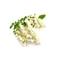 Acacia vezels