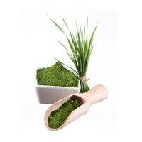 Chlorella
