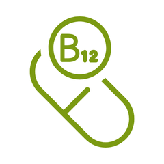 vitamine b12 supplementen