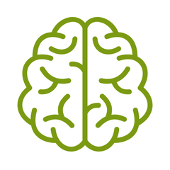 supplementen ter bevordering van het geheugen