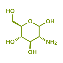 glucosamine supplementen