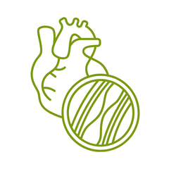 supplementen voor gezond hart en vaten