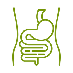 supplementen voor maag en darmen