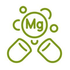 magnesium supplementen