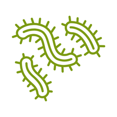 supplementen voor een gezond microbioom