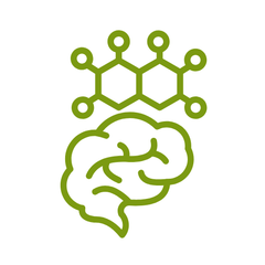 neurotransmitters supplementen