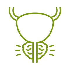 supplementen ter ondersteuning van de prostaat