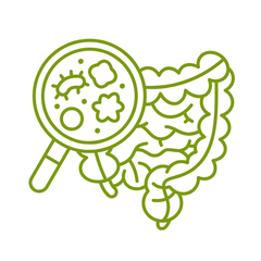 supplementen voor een betere spijsvertering