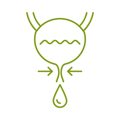 supplementen voor een goed werkende blaas