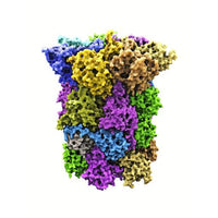 Digezyme