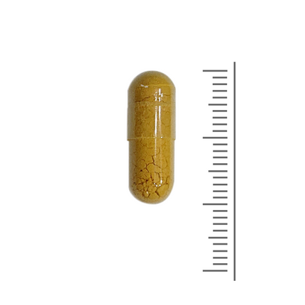 Detox Pro - 60 Vcaps