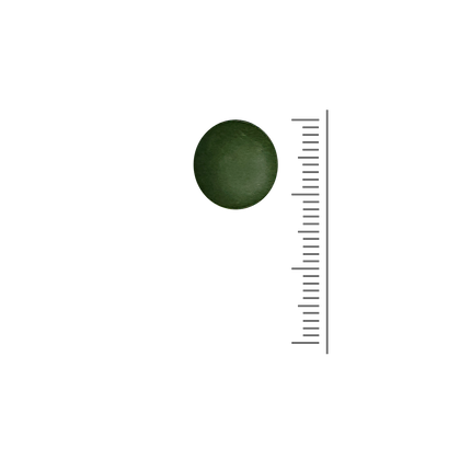 Chlorella 500 - 180 tabletten