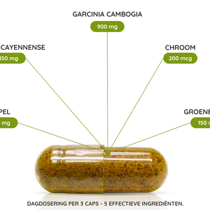 Garcinia Extract - 60 caps