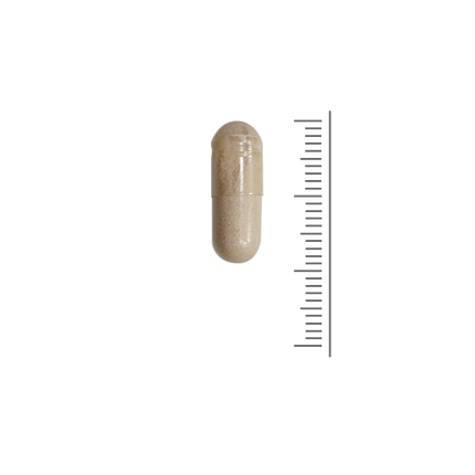 Vitamine B12+B6 - 60 plantcaps