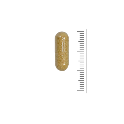 Vitamine B-50 Complex - 60 Vcaps