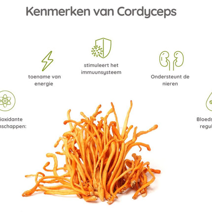Cordyceps + Reishi Extract