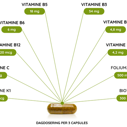 Vetverbrander - 90 Vcaps