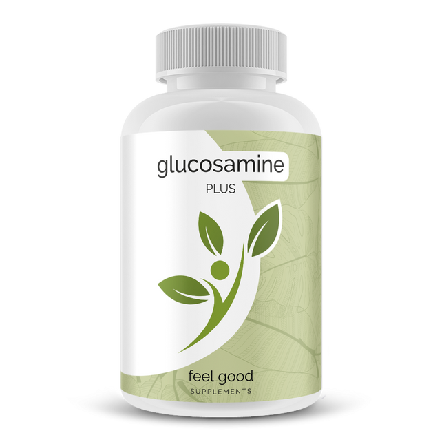 Glucosamine Plus - 90 caps