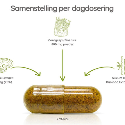 Cordyceps + Reishi Extract