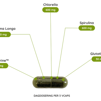 Chlorella & Spirulina