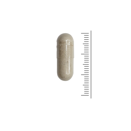 Caprylzuur extraxt - 60 Vcaps