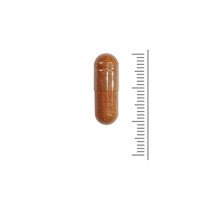 Multivitamine Speciaal